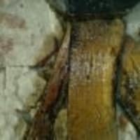 Image 9 of Bio-Kil Ltd