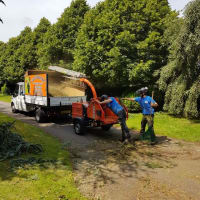 Woodpecker Tree Surgeons at UK Ltd, Shrewsbury | Tree Surgeons - Yell