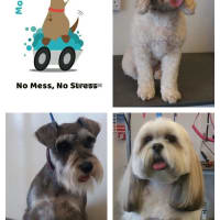 Wag 'N' Wheels Mobile Dog Grooming, Sheffield | Dog & Cat Grooming - Yell