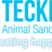 Teckels, Gloucester | Boarding Kennels - Yell