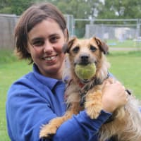 Image 2 of Canine Wild Walks