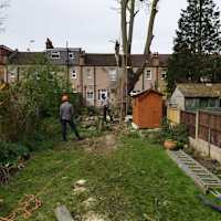 Image 24 of Trees R Us