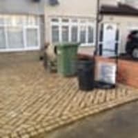 Image 11 of Special Branch Tree & Stump Removal