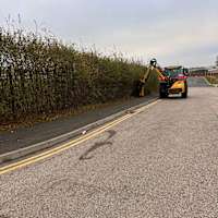 Image 16 of Tree Wise Men (NE) Ltd