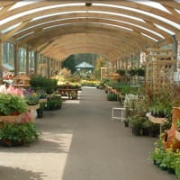Garden Centres Near Hampshire Reviews Yell