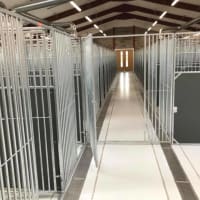 Brodie Kennels, Forres | Boarding Kennels - Yell