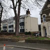 Image 39 of Trees R Us