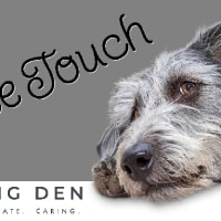 Gentle touch mobile store grooming