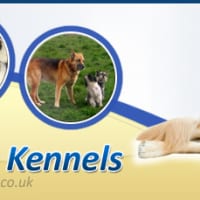 Ladyview kennels hotsell