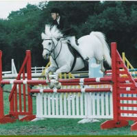 Copdock Riding Centre, Ipswich | Riding Schools - Yell