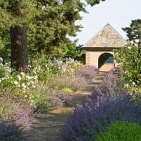 Acres Wild Landscape & Garden Design, Horsham | Garden Designers - Yell on Acres Wild Garden Design
 id=70842