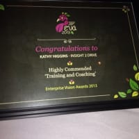 Enterprise Vision Award 2013 for Inisght 2 Drive