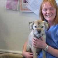 The Laurel Veterinary Surgery, Hereford 