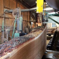 Yandles, Martock | Timber Merchants - Yell