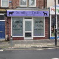 Scruffs to Crufts, Whitley Bay | Dog 