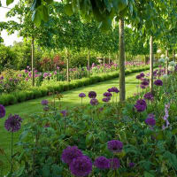 Acres Wild Landscape & Garden Design, Horsham | Garden Designers - Yell on Acres Wild Garden Design
 id=73769