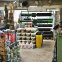 Image 19 of Brook's Basics