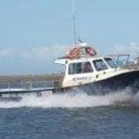 Jensen sea angling Clearance