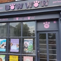 download bow wow spaw pet grooming