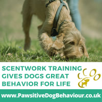 Pawsitive Dog Behaviour, Nottingham | Dog Trainers - Yell