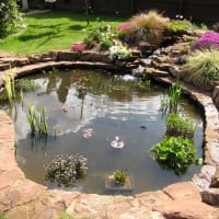 Image 4 of Aquavision Water Garden Services