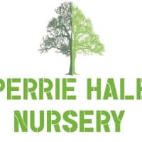 Perrie Hale Forest Nursery, Honiton | Wholesale Horticultural Nurseries ...