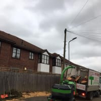 Image 30 of Special Branch Tree & Stump Removal