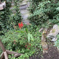 Image 15 of SJE Window Cleaning & Maintenance