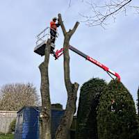 Image 28 of Tree Wise Men (NE) Ltd