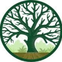 Thistle Tree Care Ltd, Kirkcaldy | Tree Surgeons - Yell