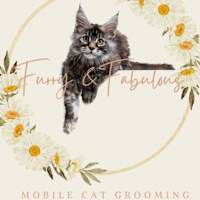 Best Mobile Dog Groomer | Pet & Cat Clipping Pros | Zoomin Groomin