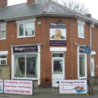 Wagz Pet Boutique Ltd Worksop Dog Cat Grooming Yell