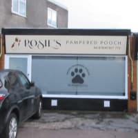 Rosie s Pampered Pooch Wickford Pet Shops Yell