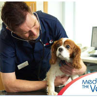 Medivet Group Limited, Nottingham | Vets - Yell