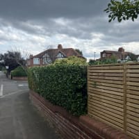 Image 10 of Tree Wise Men (NE) Ltd