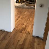 Image 15 of Odd Job Eddy