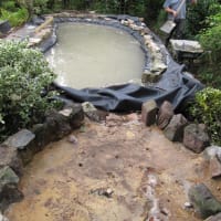 Image 6 of Aquavision Water Garden Services