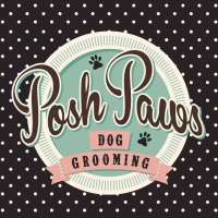 Posh Paws Dog Grooming, Haltwhistle | Dog & Cat Grooming - Yell