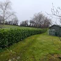 Image 31 of KMC Property Maintenance