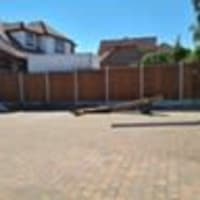 Image 17 of Special Branch Tree & Stump Removal