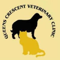 Queens Crescent Veterinary Clinic, Glasgow | Vets - Yell
