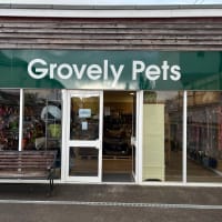 Grovely hot sale pet supplies