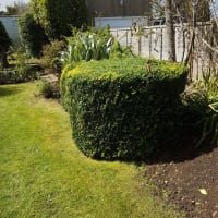 Image 3 of Neils Garden Care