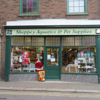 Sheppey Aquatic Pet Supplies Sheerness Aquarium Pond