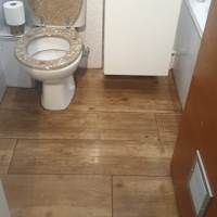 Image 22 of Odd Job Eddy