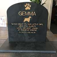 rainbow bridge pet cremations ltd