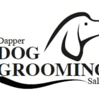 Dapper dog best sale grooming salon