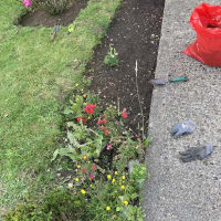 Image 18 of SJE Window Cleaning & Maintenance