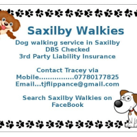Saxilby Walkies, Lincoln | Dog Walking - Yell