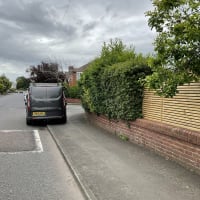 Image 9 of Tree Wise Men (NE) Ltd